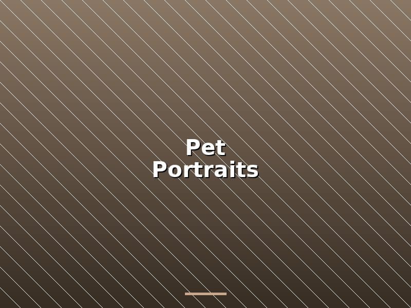 Pet Portraits